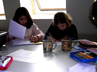 Ein bitteres Vergnügen?