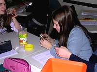 Eistee selbst gemacht